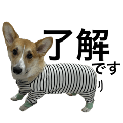 HIKARI_20230204115443