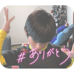 Hikari_20230204145134