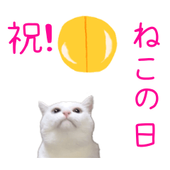 Do what you want on Cat Day