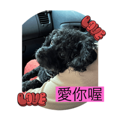 我叫Mini Mini是我