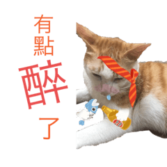 Cutcat!
