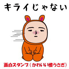 The usual funny (cute orange rabbit )