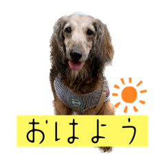 saori_20230204160537