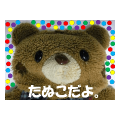 pon tanuko_20230205091044