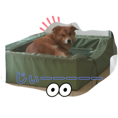 kuu_20230204161349