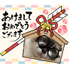 nao_20230204162402