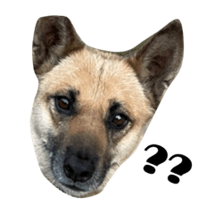 Inazu_20230204173825