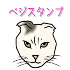 Cat's Beji's message