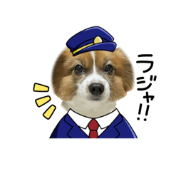 papiyons 0320