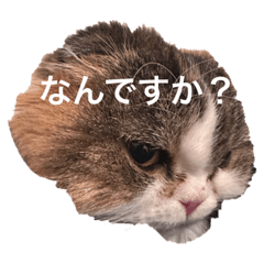 suzu_20230204165411