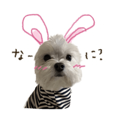 shiho_20230204210100