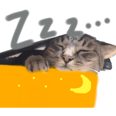 meeenma_20230204211818