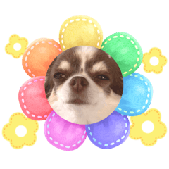 Hikari_20230205000353