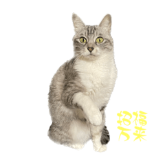 nao_20230205014555