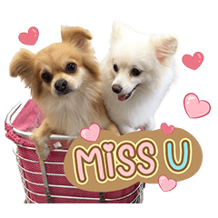 Micky Choco Maru Leo