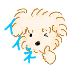 Hikari_20230203220754