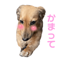 hikari_20230204224130