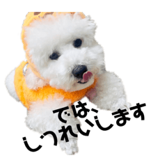 MoMoKo_20230205103908