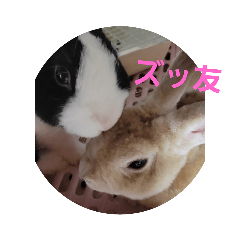 ウサギパラダイス - LINE スタンプ | LINE STORE