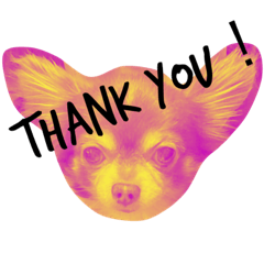 mizuki_20230205121632