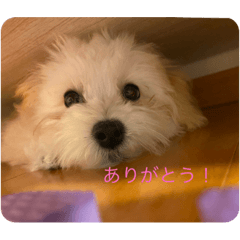 Aoi_20230205002702