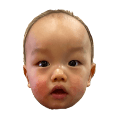 shin_20230205133120