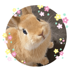 rinrin_20230205144944