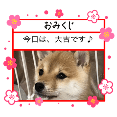 natsumi_20230205145429