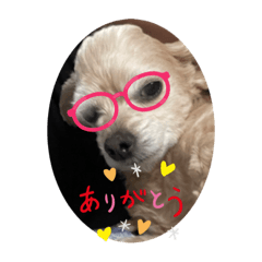 @@@@@_20230205160018