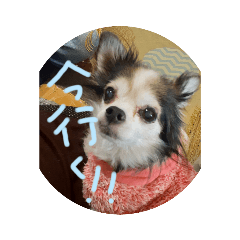 Raika_20230205162302