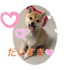 nao_20230205171934