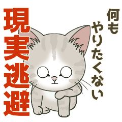 Kitten flying sticker 8