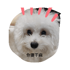 班比敲可愛貼圖