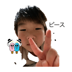 AOI_20230206084504