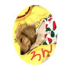 momoko_20230205183805