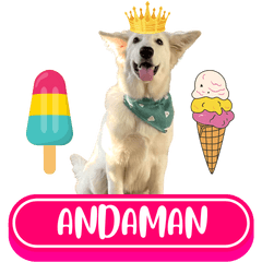 WOOFME WITH ANDAMAN