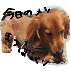 nanamin_20230206085946