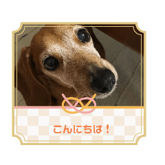 Hana_20230205201120