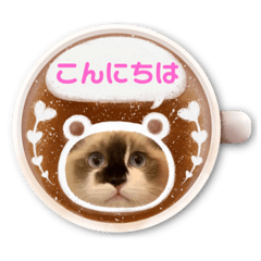 nao_20230205201255