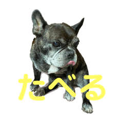 Natsumi_20230205201942