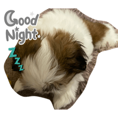 Hikari_20230205212632