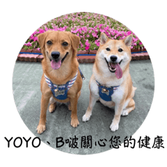 Yoyo、B啵
