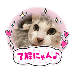 suzu_20230206115959