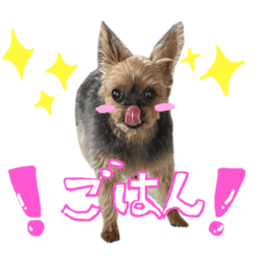 MANMARU_20230205221347