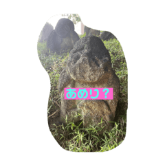 kana_20230206