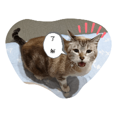 hikari_20230206143659