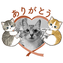 nao_20230206154312