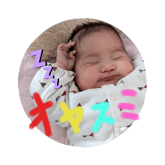 hikari_20230206154602