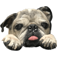 hikari_20230206145627