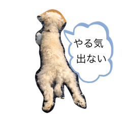 nao_20230206165001